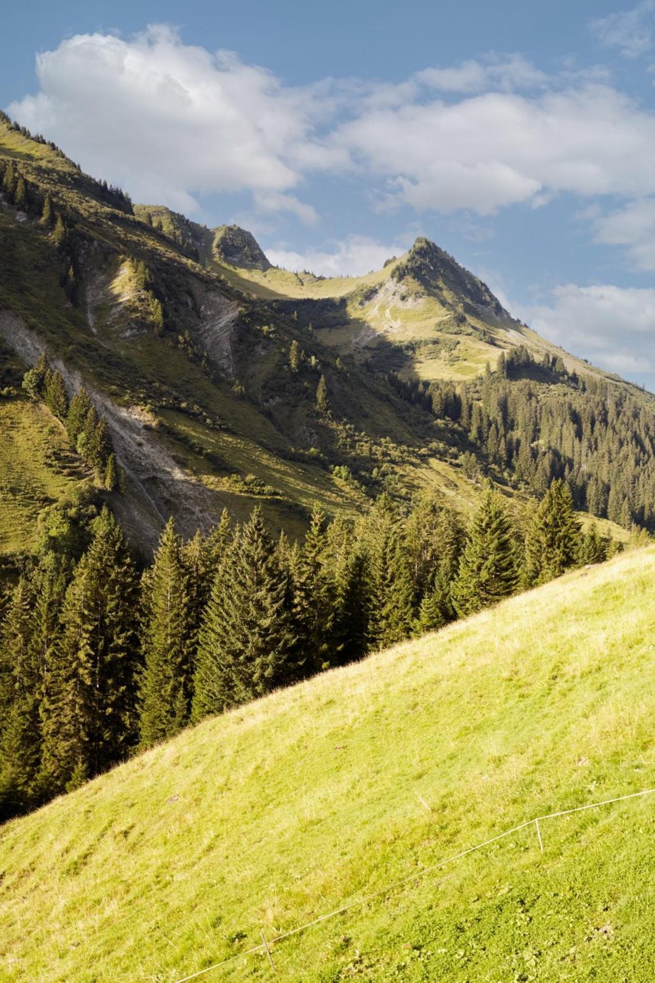 Alpenstolz Damuels Haus 4 - Stilvoll Urlauben In Den Bergen Apartment Exterior foto